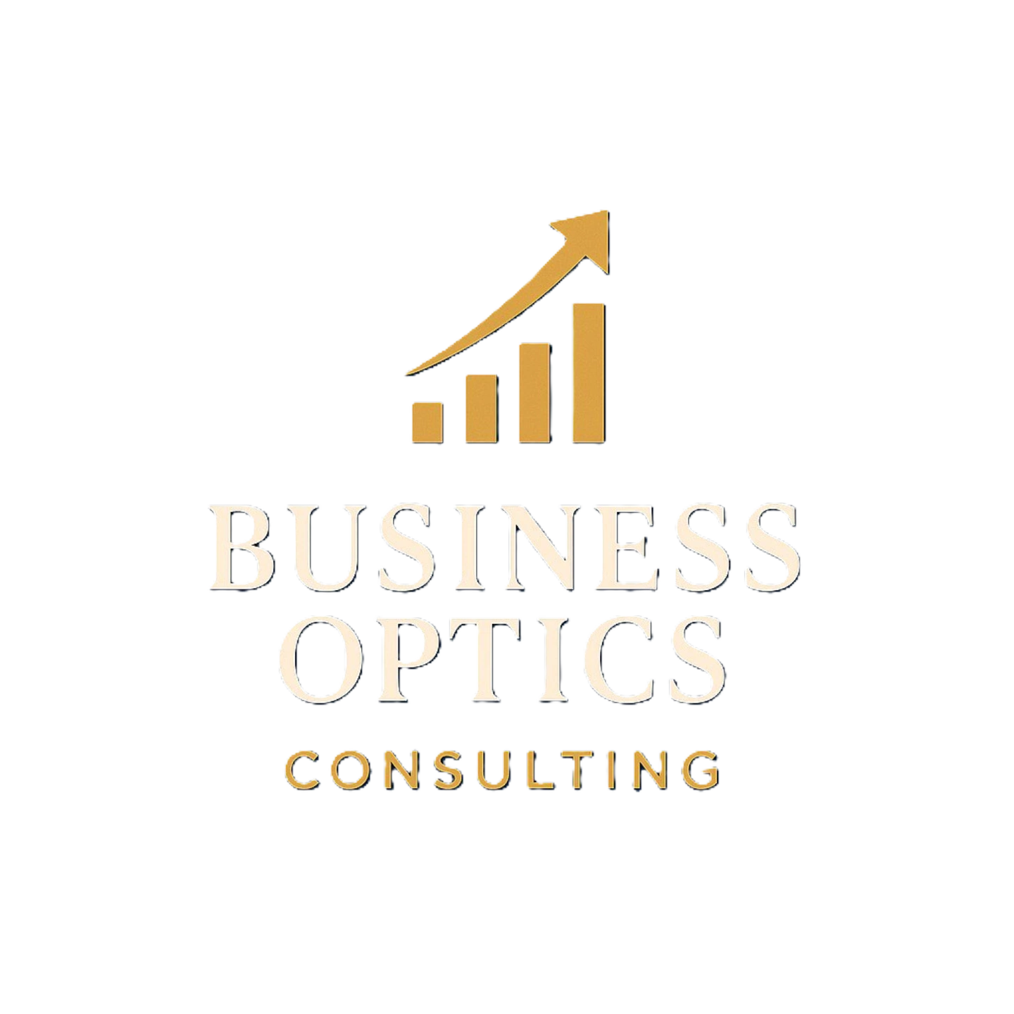 Business Optics Consulting